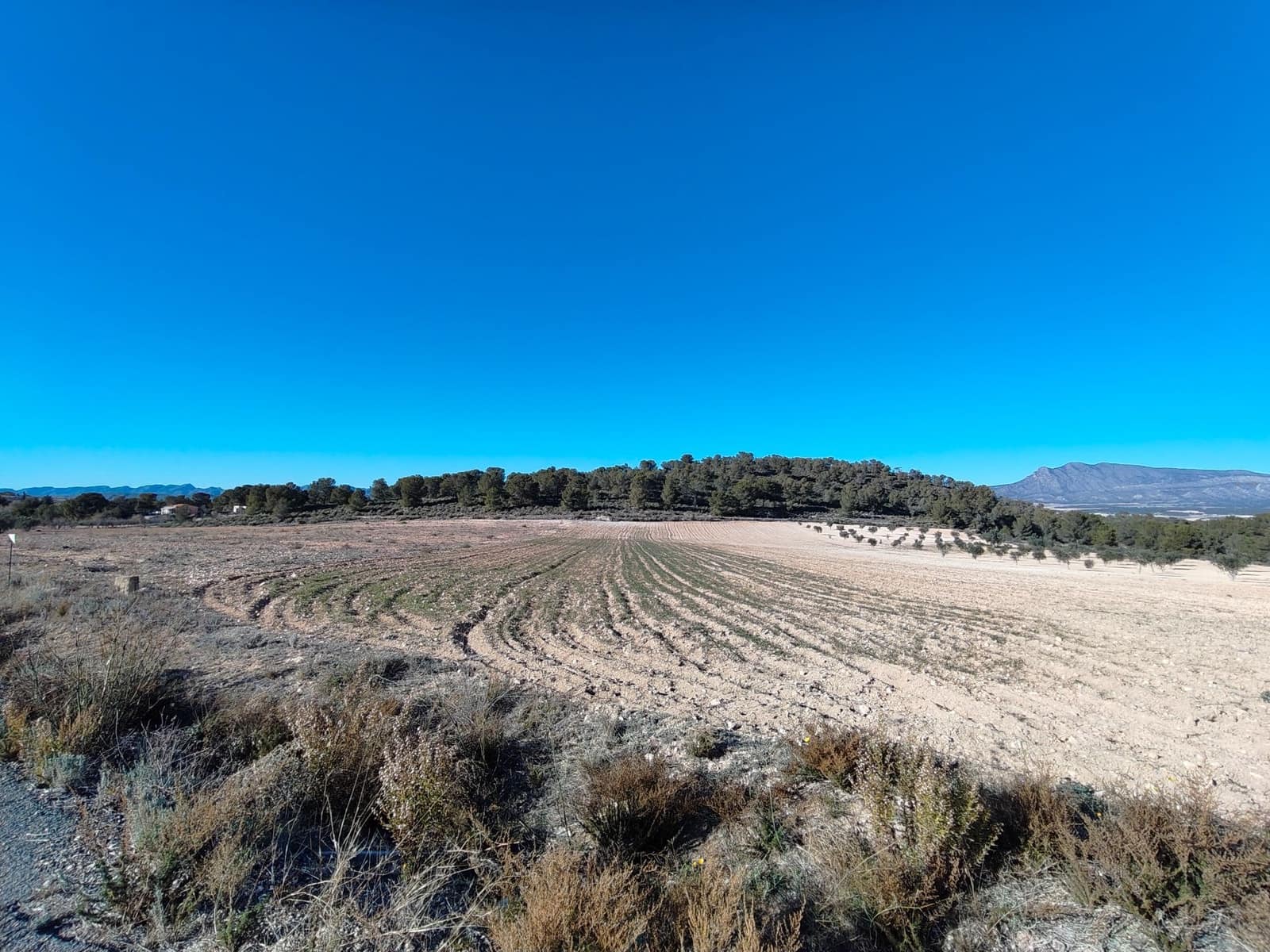 Finca/Landehus til salg i La Zarza - € 24.900 (Ref: 8863601)