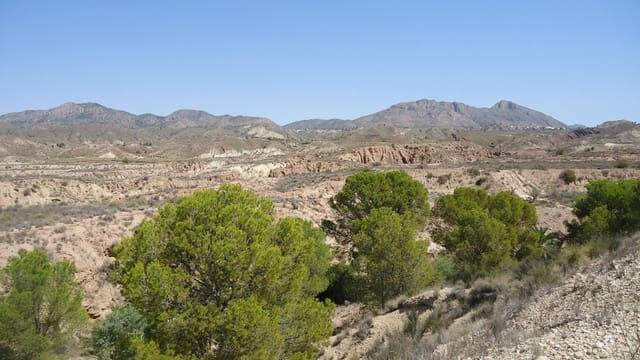 Finca/Maison de Campagne à vendre à Abanilla - 26 900 € (Ref: 8863602)