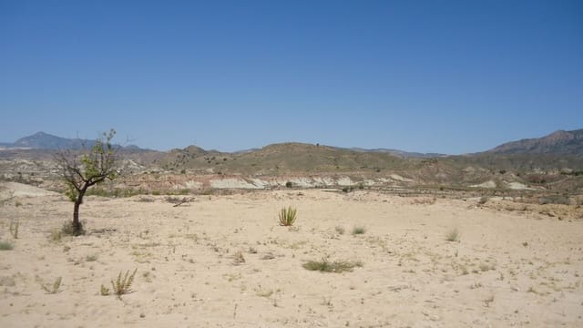 Finca/Maison de Campagne à vendre à Abanilla - 14 900 € (Ref: 8863603)