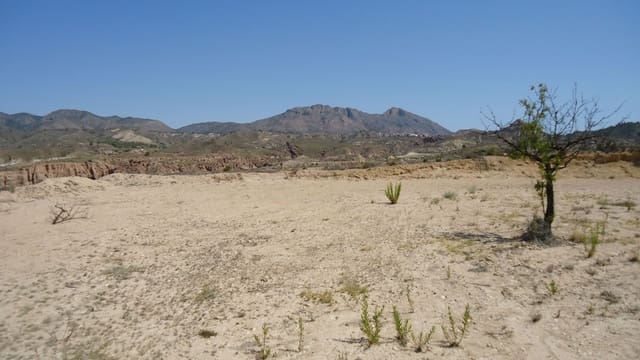 Finca/Maison de Campagne à vendre à Abanilla - 14 900 € (Ref: 8863603)