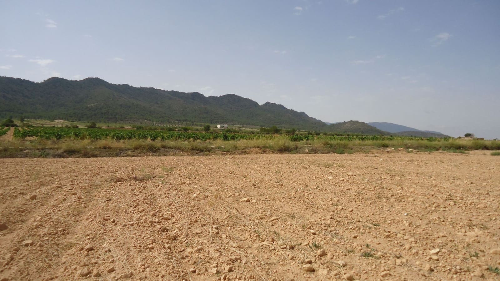 Finca/Herregård til salgs i Yecla - € 15 500 (Ref: 8863606)