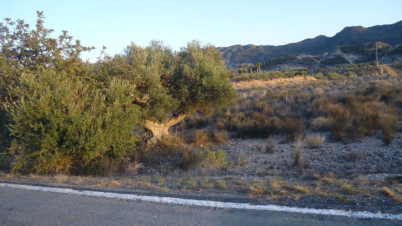 Finca/Maison de Campagne à vendre à Abanilla - 8 000 € (Ref: 8863607)