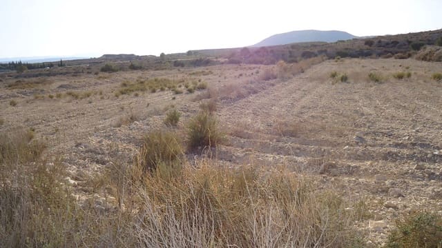 Finca/Maison de Campagne à vendre à Abanilla - 18 500 € (Ref: 8863609)