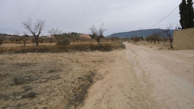 Finca/Landehus til salg i Pinoso - € 9.900 (Ref: 8863610)