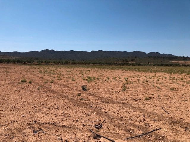 Finca/Herregård til salgs i Yecla - € 32 800 (Ref: 8863612)