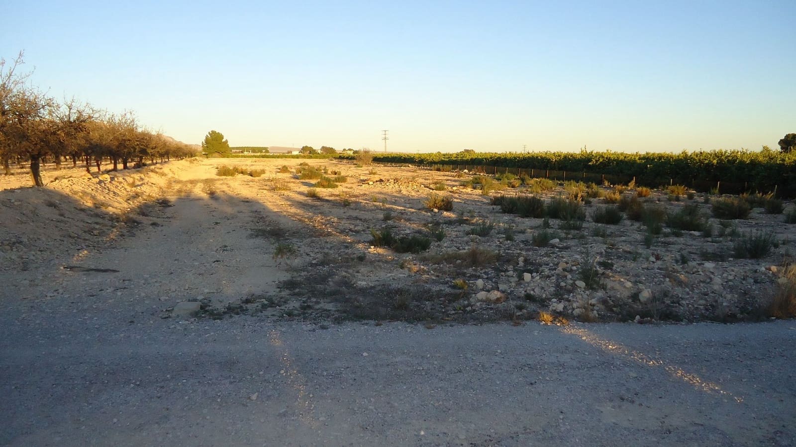 Finca/Maison de Campagne à vendre à Abanilla - 51 900 € (Ref: 8863614)