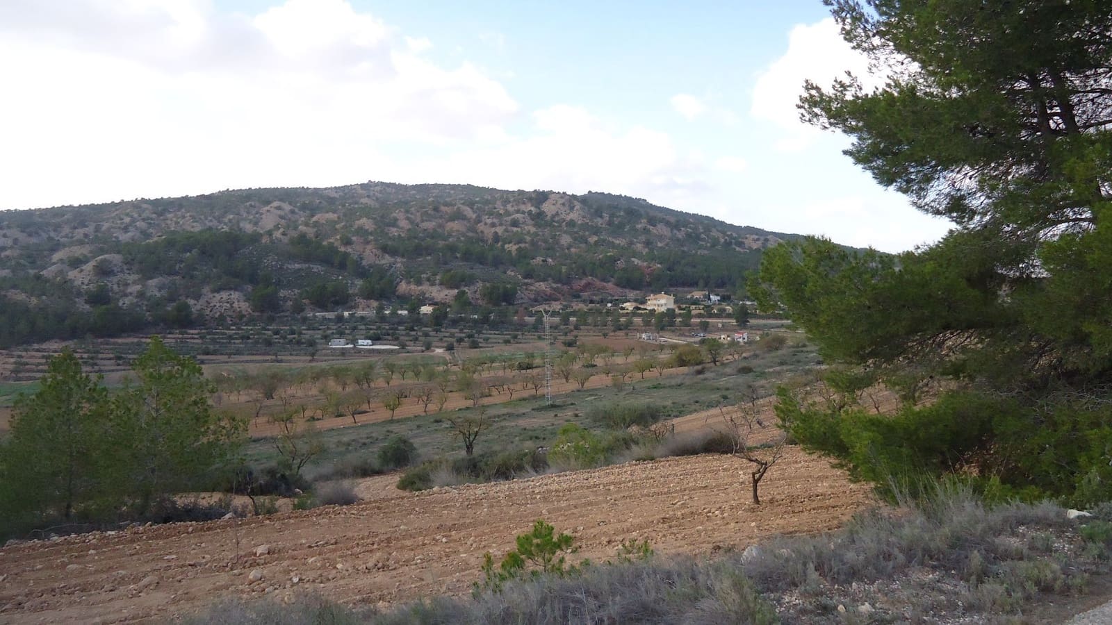 Finca/Landehus til salg i Pinoso - € 14.500 (Ref: 8863615)