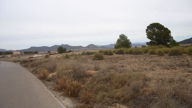 Finca/Casa di Campagna in vendita in Ubeda, Pinoso - 14.700 € (Rif: 8863617)