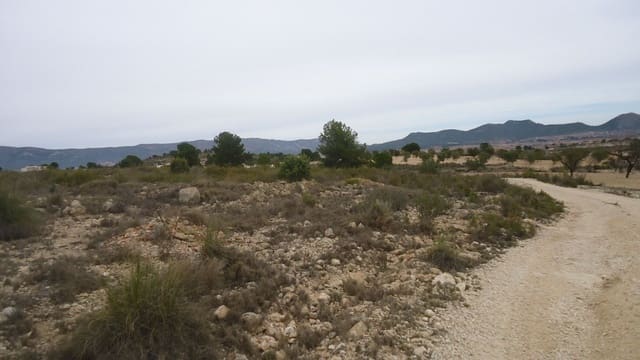 Finca/Casa di Campagna in vendita in Ubeda, Pinoso - 14.700 € (Rif: 8863617)