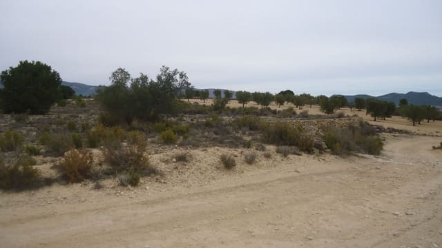 Finca/Casa di Campagna in vendita in Ubeda, Pinoso - 14.700 € (Rif: 8863617)