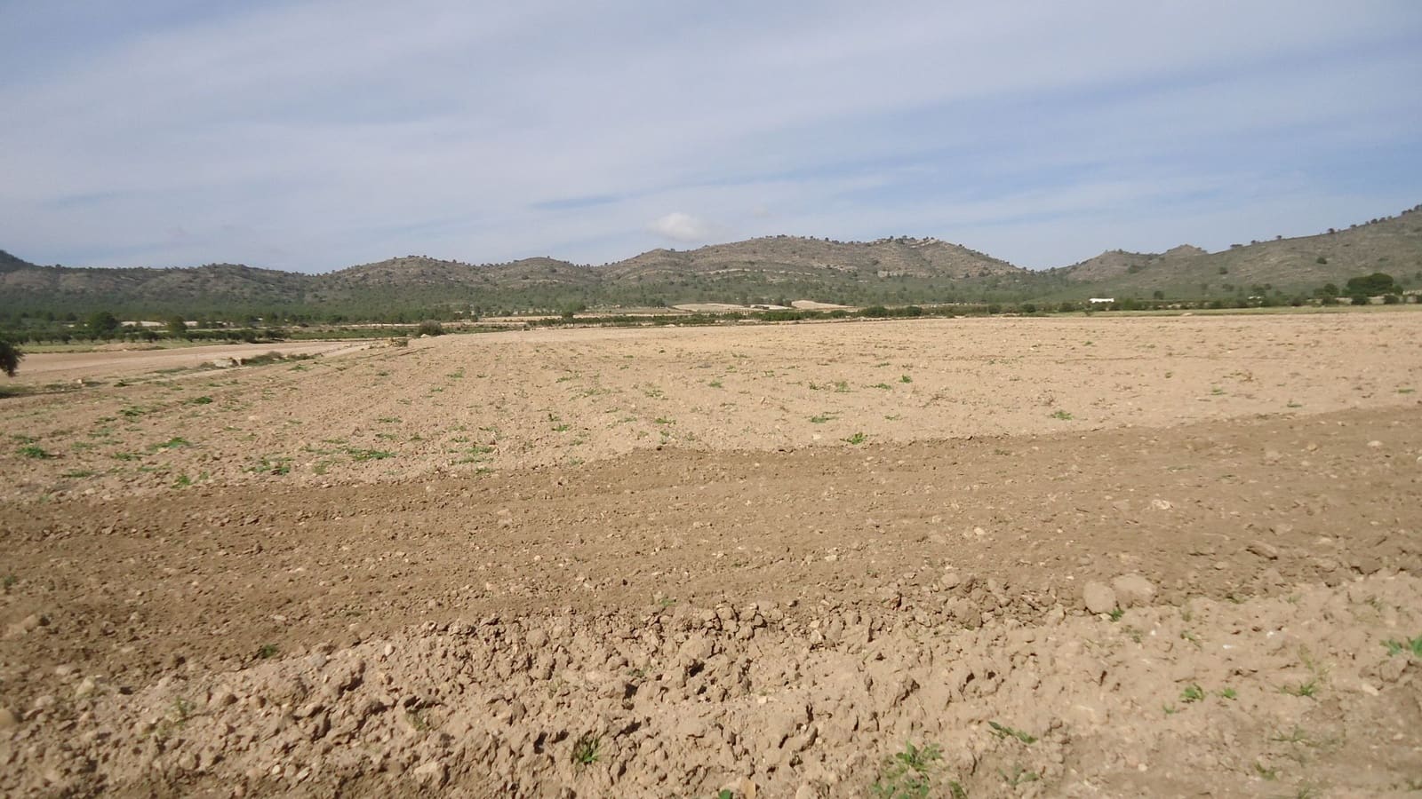 Finca/Country House for sale in Yecla - € 28,900 (Ref: 8863624)