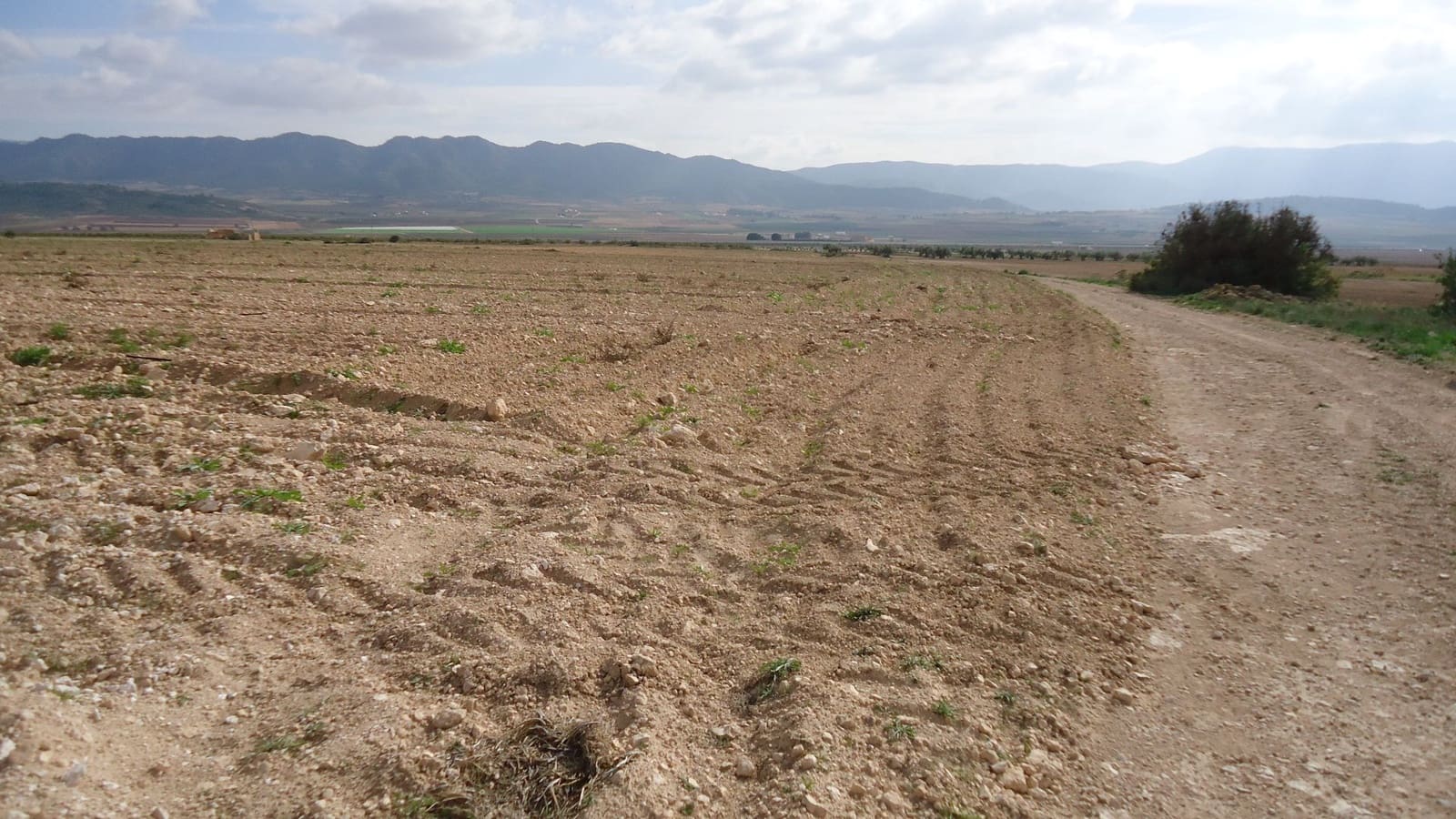 Finca/Country House for sale in Yecla - € 28,900 (Ref: 8863624)