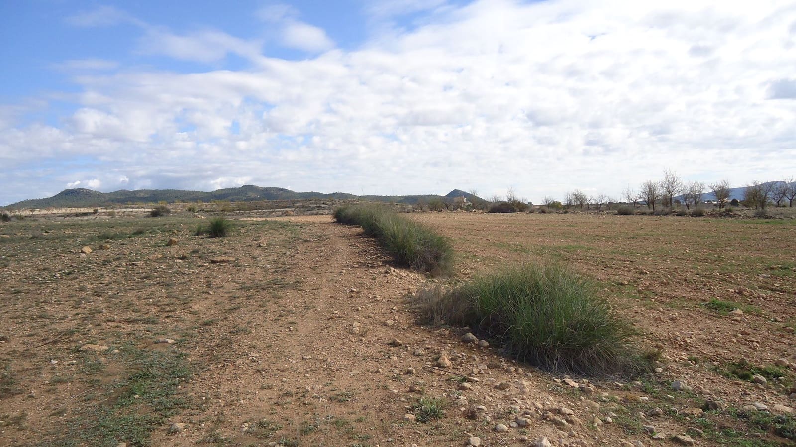 Finca/Landehus til salg i Pinoso - € 18.900 (Ref: 8863626)