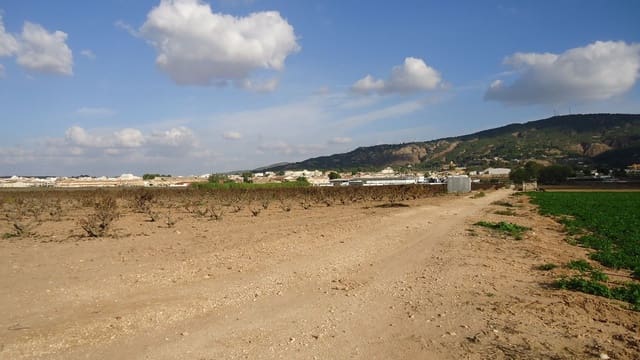 Finca/Landehus til salg i Pinoso - € 279.244 (Ref: 8863629)