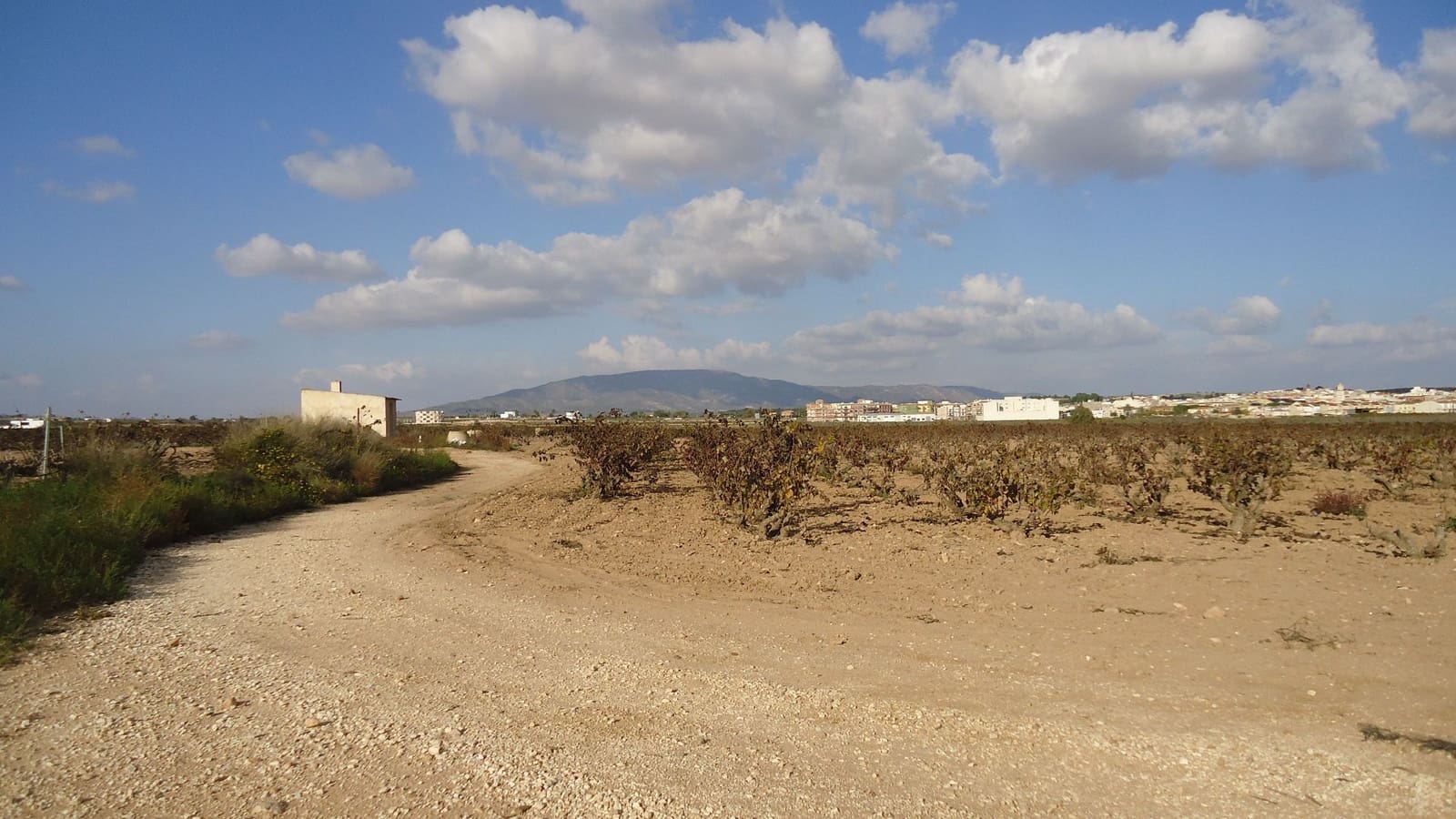 Finca/Country House for sale in Pinoso - € 279,244 (Ref: 8863629)