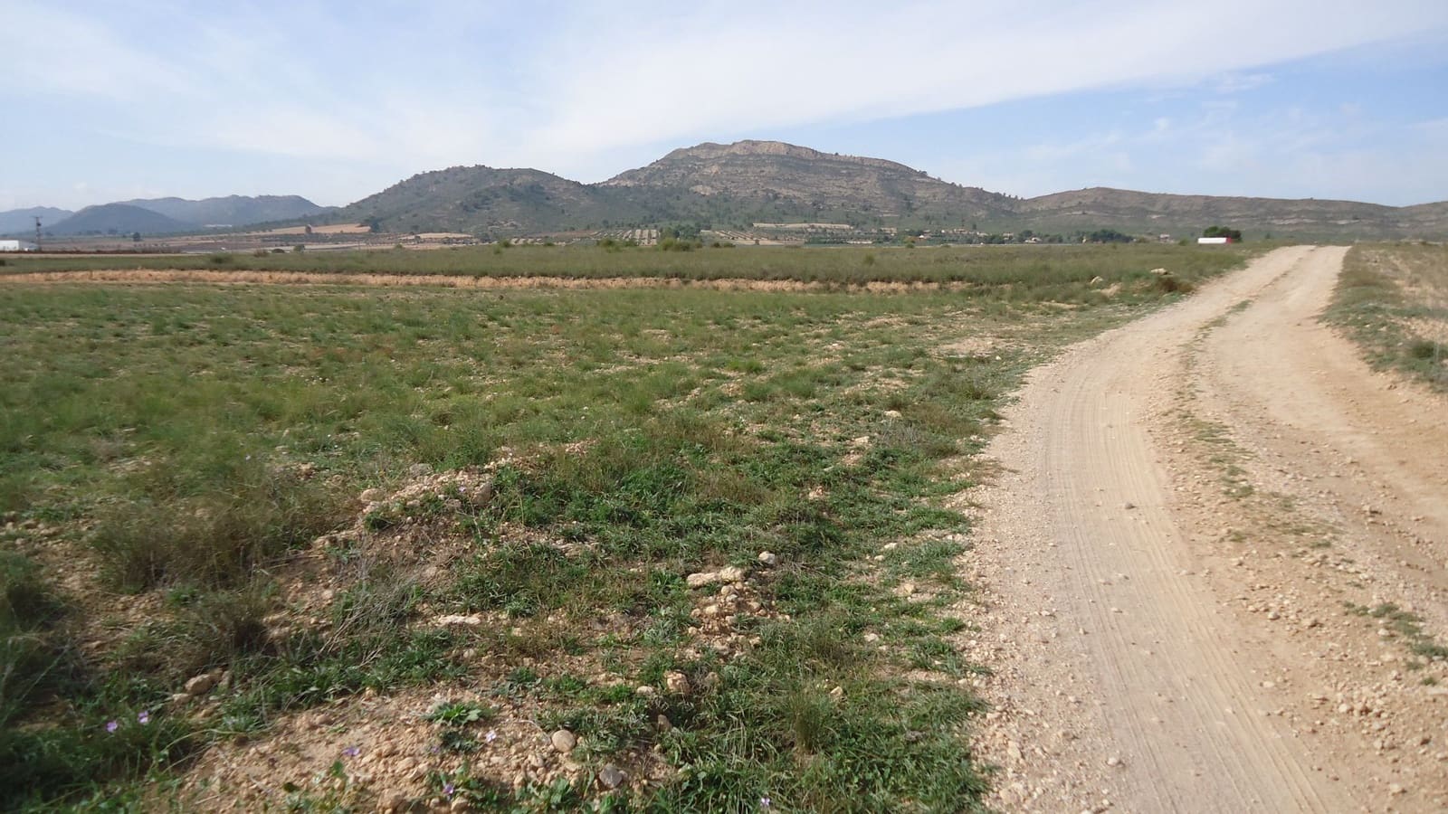 Finca/Herregård til salgs i Yecla - € 7 000 (Ref: 8863632)