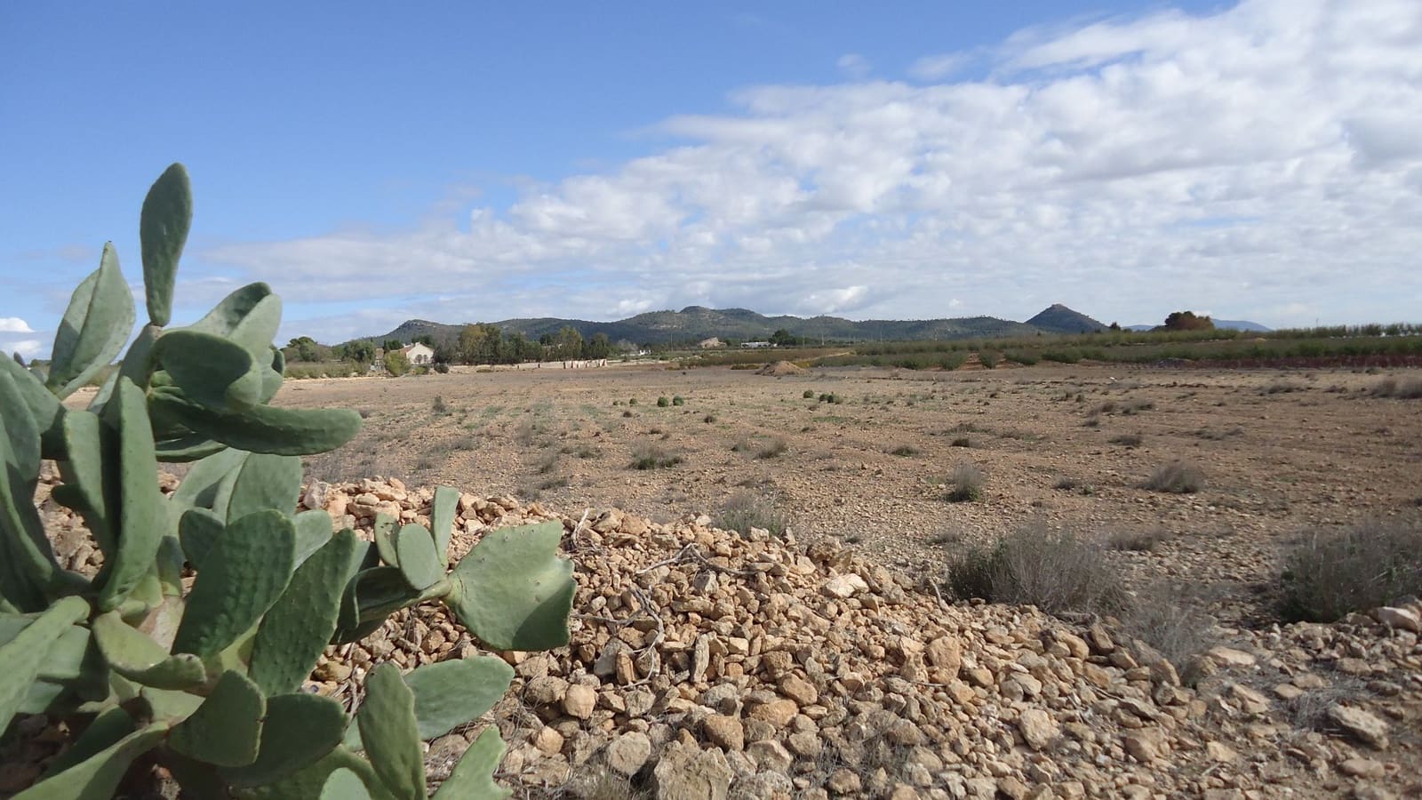 Finca/Landehus til salg i Pinoso - € 79.995 (Ref: 8863637)