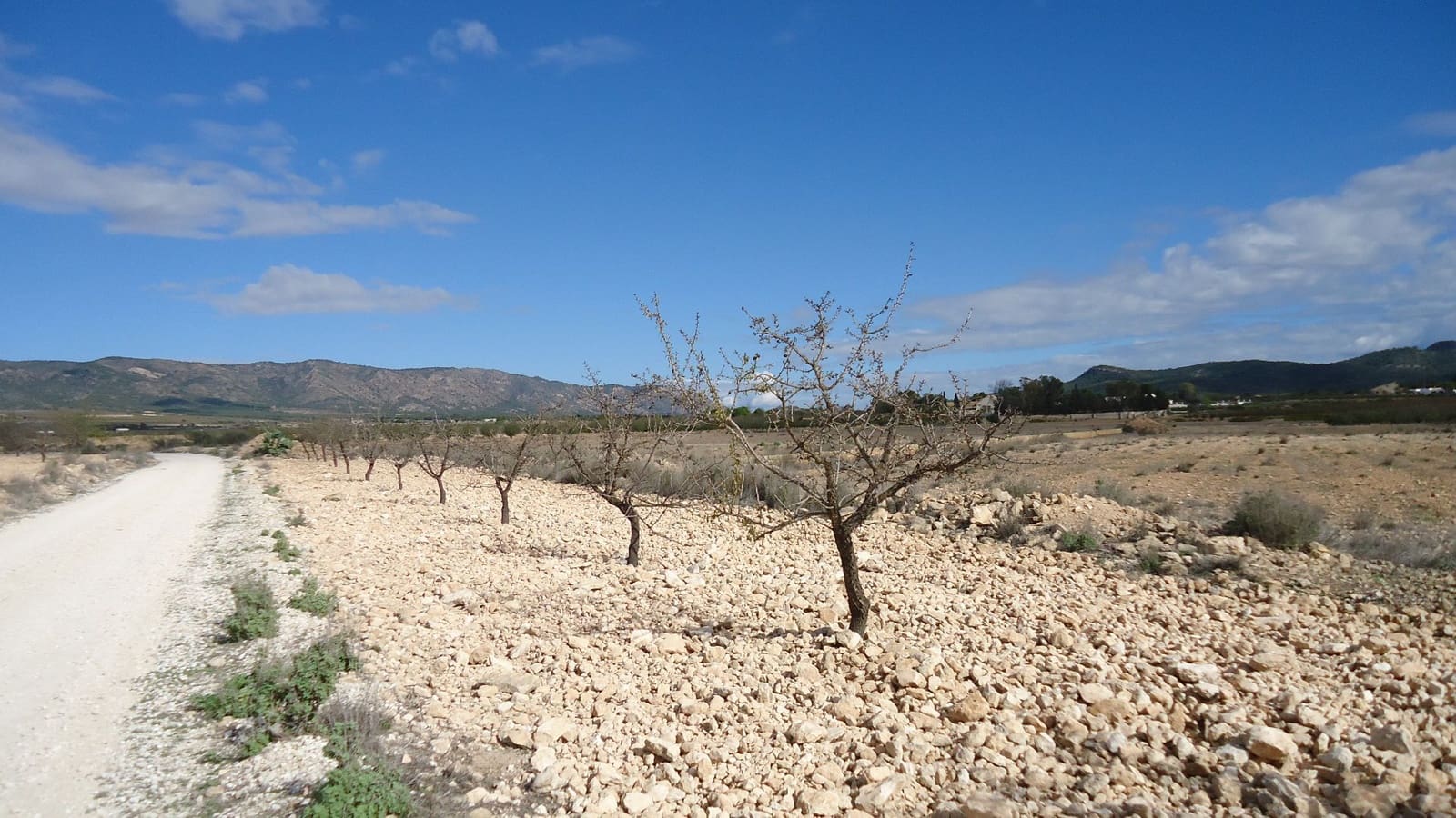 Finca/Landehus til salg i Pinoso - € 79.995 (Ref: 8863637)