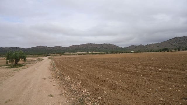 Finca/Herregård til salgs i Yecla - € 9 900 (Ref: 8863638)