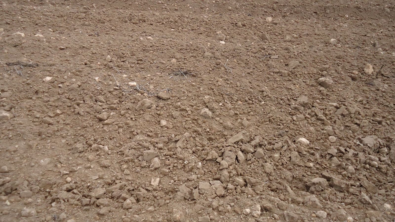 Finca/Herregård til salgs i Yecla - € 9 900 (Ref: 8863638)