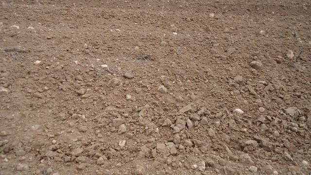 Finca/Herregård til salgs i Yecla - € 9 900 (Ref: 8863638)