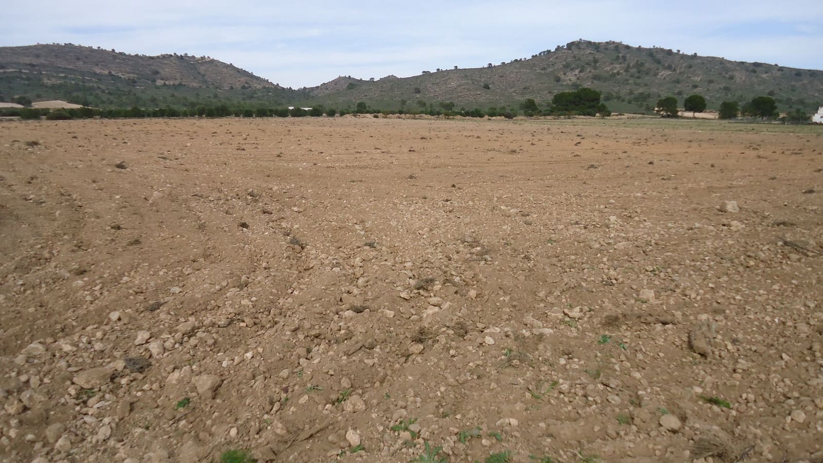 Finca/Country House for sale in Yecla - € 7,300 (Ref: 8863639)