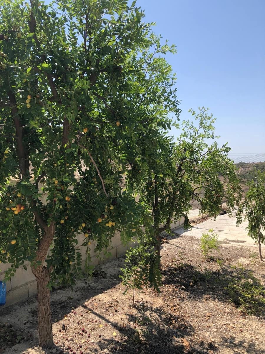 2 bedroom Villa for sale in Abanilla - € 149,995 (Ref: 8863645)