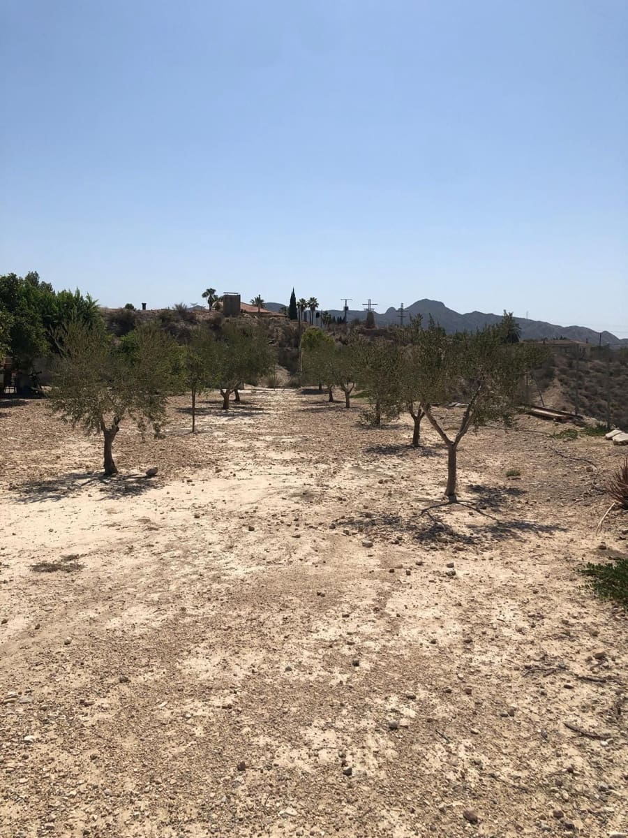 2 bedroom Villa for sale in Abanilla - € 149,995 (Ref: 8863645)