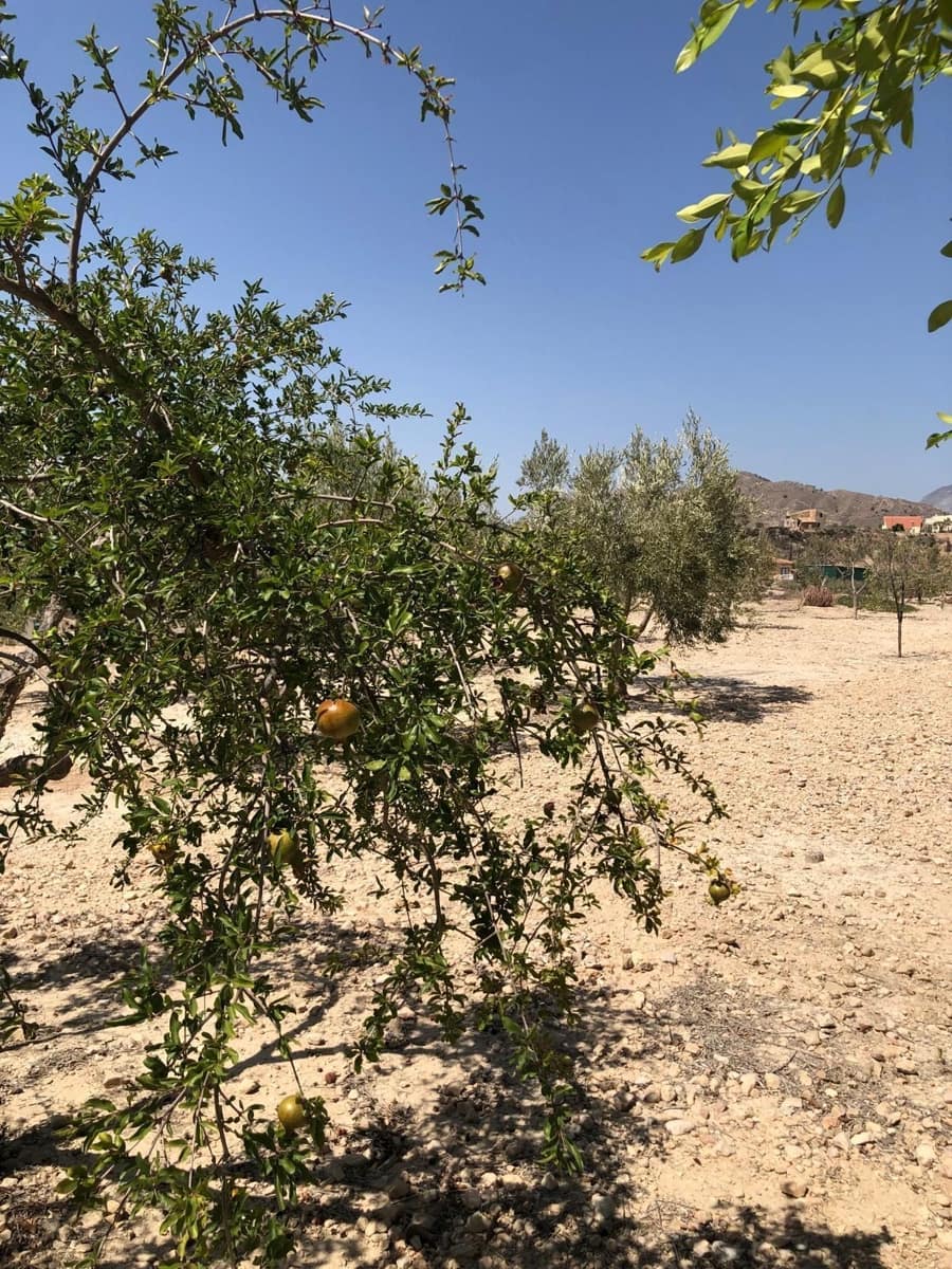 2 bedroom Villa for sale in Abanilla - € 149,995 (Ref: 8863645)