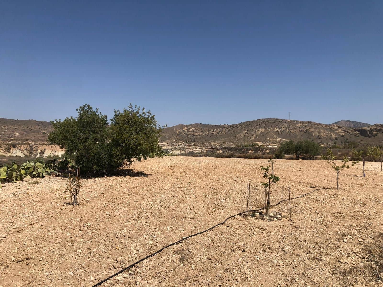 2 bedroom Villa for sale in Abanilla - € 149,995 (Ref: 8863645)