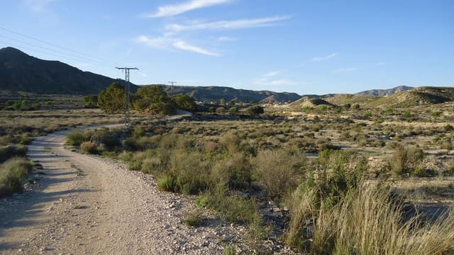 Finca/Maison de Campagne à vendre à Abanilla - 16 000 € (Ref: 8907160)