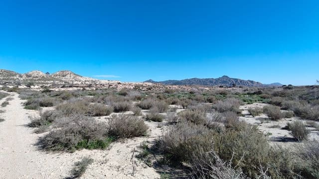 Finca/Hus på landet till salu i Abanilla - 16 000 € (Ref: 8907160)