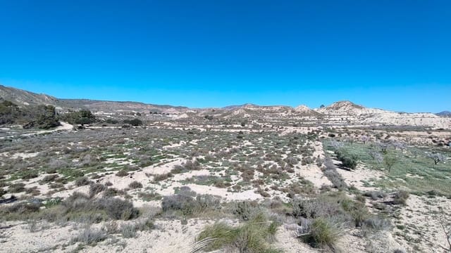 Finca/Hus på landet till salu i Abanilla - 16 000 € (Ref: 8907160)