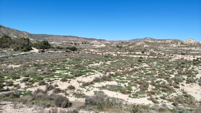 Finca/Hus på landet till salu i Abanilla - 16 000 € (Ref: 8907160)