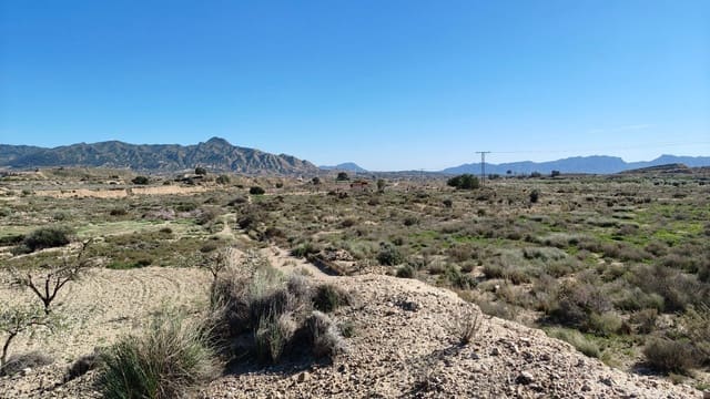 Finca/Hus på landet till salu i Abanilla - 16 000 € (Ref: 8907160)