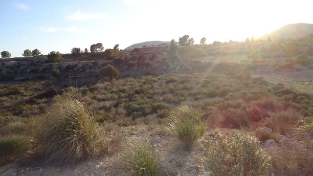 Finca/Maison de Campagne à vendre à Abanilla - 14 000 € (Ref: 8907161)