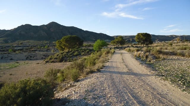 Finca/Maison de Campagne à vendre à Abanilla - 14 000 € (Ref: 8907161)