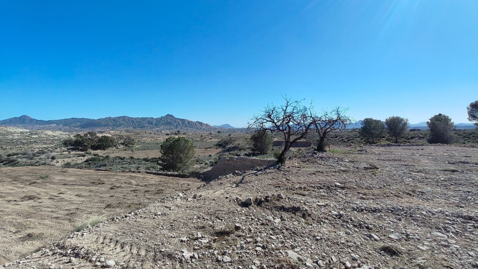 Finca/Country House for sale in Abanilla - € 19,900 (Ref: 8907161)