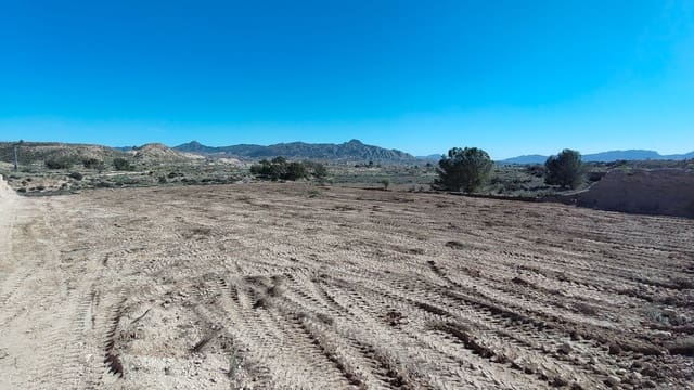 Finca/Hus på landet till salu i Abanilla - 14 000 € (Ref: 8907161)