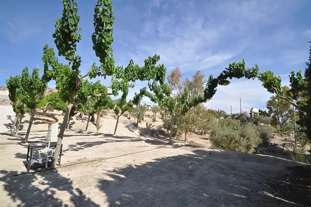 4 camera da letto Villa in vendita in Abanilla - 2.800.000 € (Rif: 8912709)