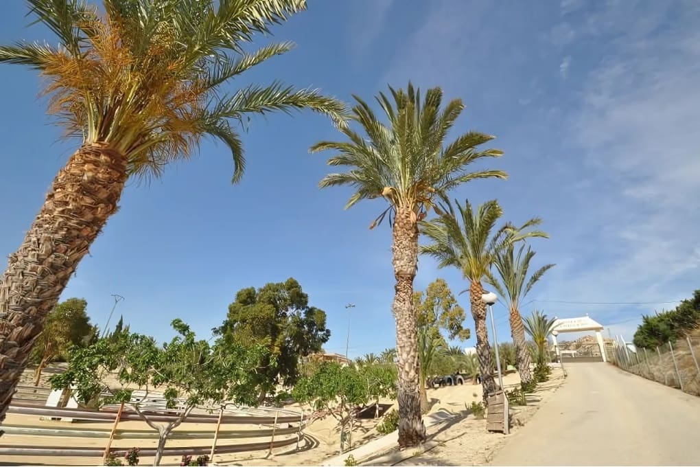 4 soveværelse Villa til salg i Abanilla - € 2.800.000 (Ref: 8912709)