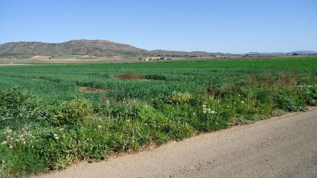 Finca/Herregård til salgs i Yecla - € 23 400 (Ref: 8921032)