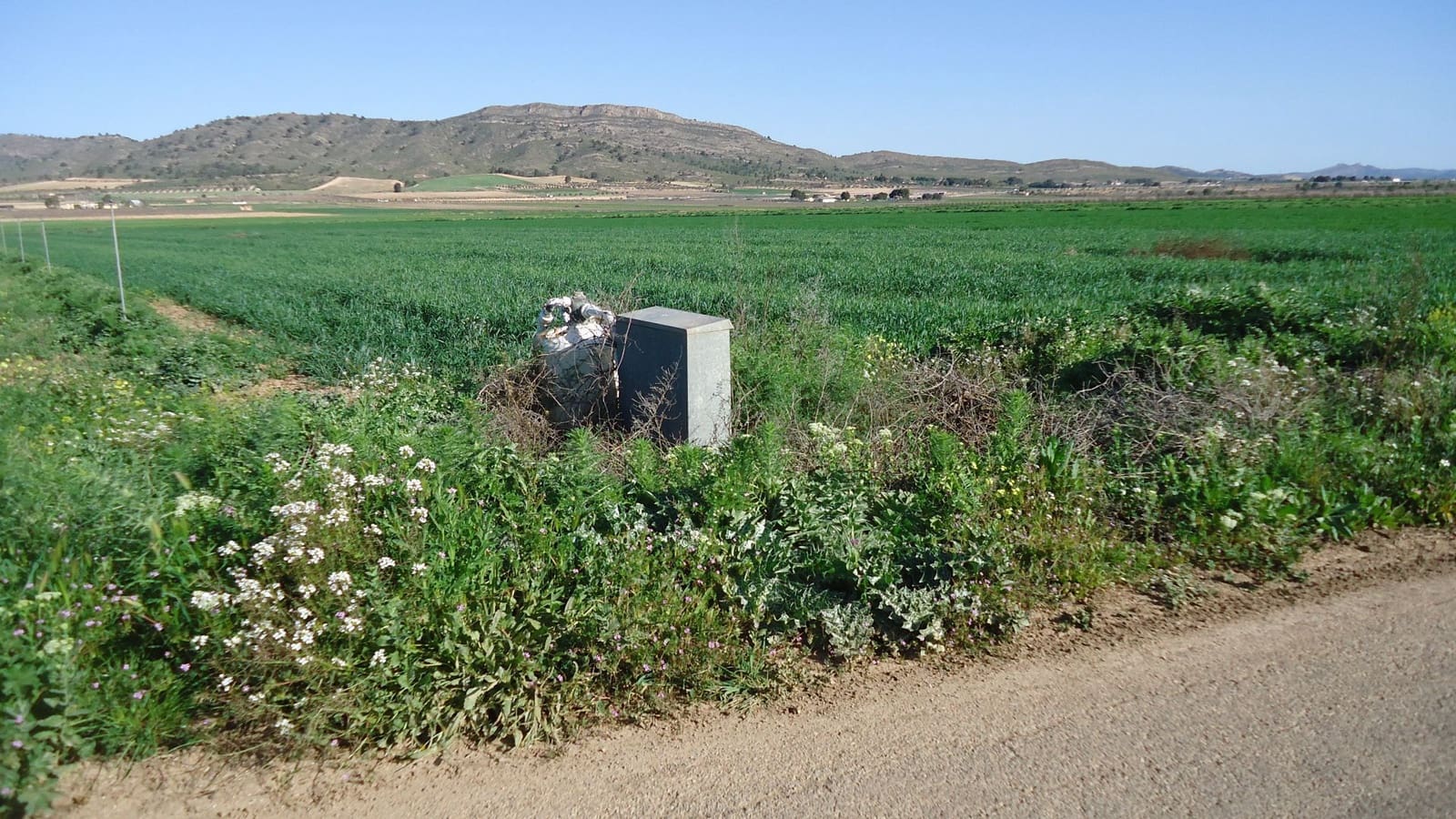 Finca/Herregård til salgs i Yecla - € 23 400 (Ref: 8921032)