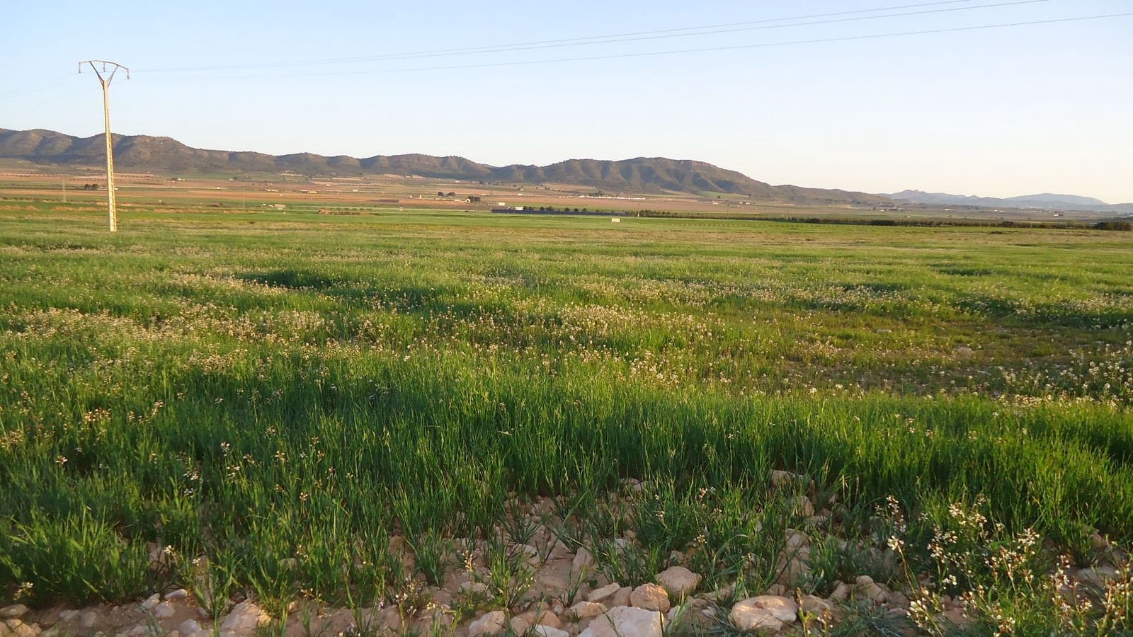 Finca/Herregård til salgs i Yecla - € 405 000 (Ref: 8921033)