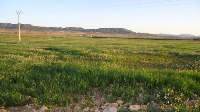 Finca/Herregård til salgs i Yecla - € 405 000 (Ref: 8921033)