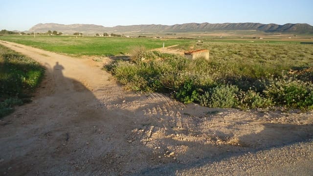 Finca/Herregård til salgs i Yecla - € 405 000 (Ref: 8921033)