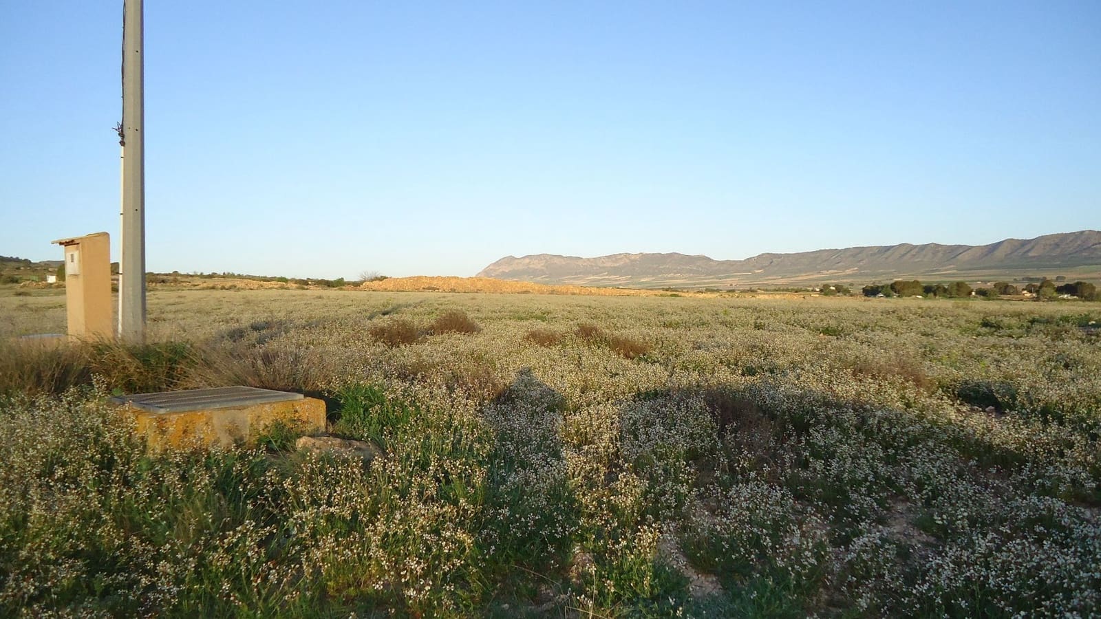 Finca/Herregård til salgs i Yecla - € 39 900 (Ref: 8921034)