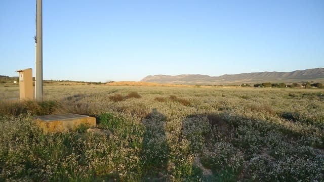 Finca/Herregård til salgs i Yecla - € 39 900 (Ref: 8921034)