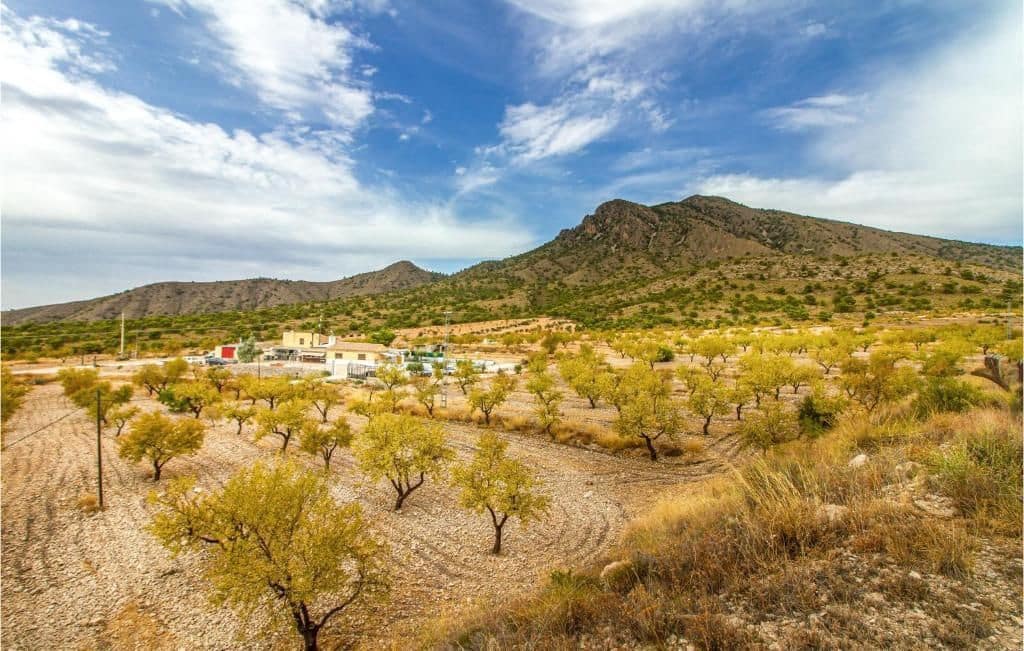 8 slaapkamer Villa te koop in Jumilla - € 316.000 (Ref: 8932060)