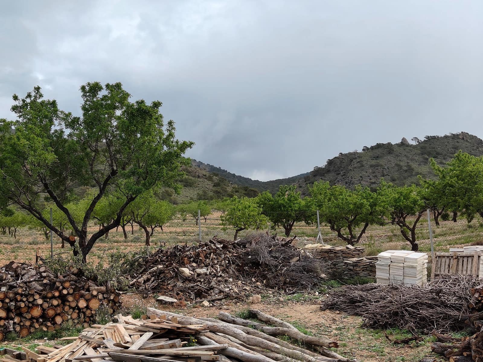 8 slaapkamer Villa te koop in Jumilla - € 316.000 (Ref: 8932060)